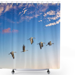 Personality  Landscape During Sunset With Flying Birds Panoramic View Shower Curtains
