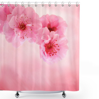 Personality  Spring Cherry Blossoms On Pink Background Shower Curtains