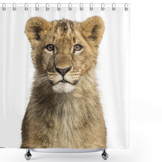 Personality  Close-up Of A Lion Cub Looking At The Camera Shower Curtains