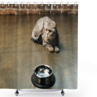 Personality  Adorable Scottish Fold Cat Lying Near Bowl On Floor Shower Curtains