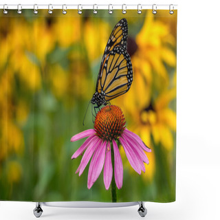 Personality  A Monarch Butterfly On A Purple Echinacea Cone Flower Shower Curtains