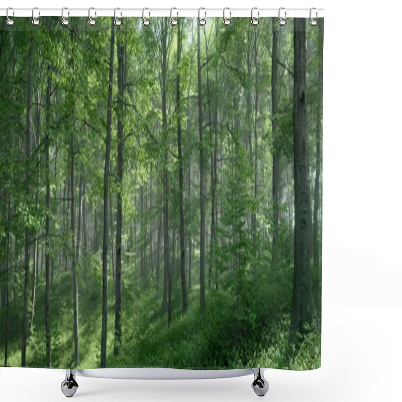 Personality  The Sun Beautifully Illuminating The Tall And Green Breech Trees In A Forest Clearing, Shower Curtains