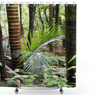 Personality  Tropical Jungle Shower Curtains