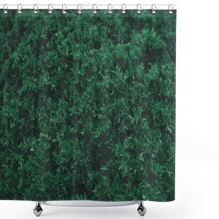 Personality  Full Frame Shot Of Green Fir Bush For Background Shower Curtains
