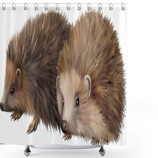 Personality  Two-toed Hedgehogs Shower Curtains