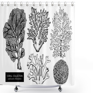Personality  Reef Corals Sketches Set Shower Curtains