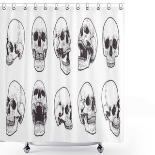 Personality  Anatomical Skulls Vector Set Shower Curtains