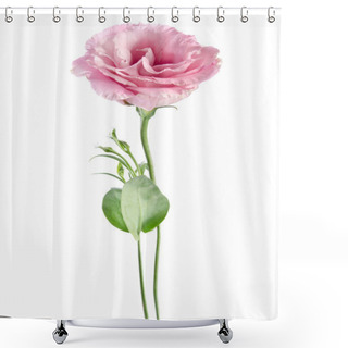 Personality  Beautiful Eustoma Flower Shower Curtains