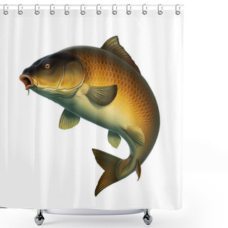 Personality  Carp Fish (koi) Realism Isolate Illustration. Fishing For Big Carp, Feeder Fishing, Carp Fishing. Shower Curtains