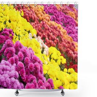 Personality  Chrysanthemum Flower-bad Shower Curtains