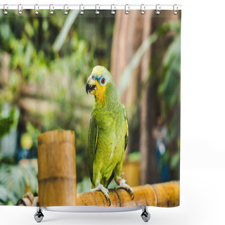 Personality  Green Afrotropical Parrot Perching On Bamboo Fence In Tropical Park Shower Curtains