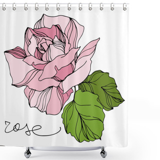 Personality  Vector Rose Floral Botanical Flowers. Engraved Ink Art. Isolated Roses Illustration Element. Shower Curtains