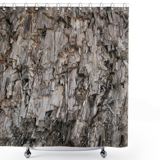 Personality  Natural Weathered Grey Taupe Brown Cut Tree Stump Texture, Large Vertical Detailed Wounded Damaged Vandalized Gray Lumber Background Wood Macro Closeup, Dark Black Textured Cracked Wooden Patter Shower Curtains