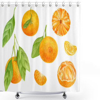 Personality  Watercolor Tangerine Set. Hand Drawn Botanical Illustration Of Peeled Mandarins, Citrus Fruits With Leaves And Slices. Clipart Elements Isolated On White Background. Shower Curtains