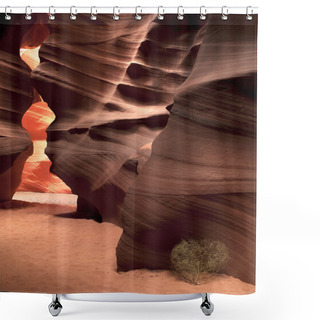 Personality  View Of Canyon Antelope Cave Shower Curtains