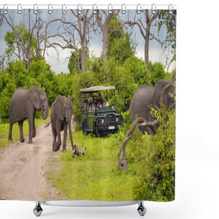 Personality  Elephant Safari(Botswana) Shower Curtains