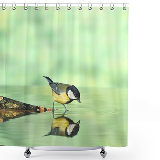 Personality  Bird Hunting. Shower Curtains