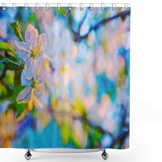 Personality  Flowers Of Blossoming Apple Tree Shower Curtains