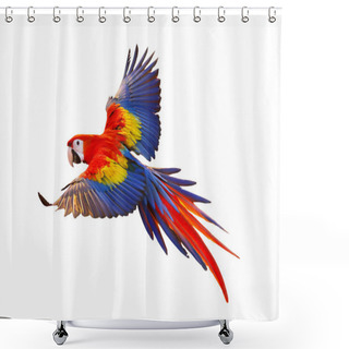 Personality  Colorful Macaw Parrot Flying Isolated On White Shower Curtains