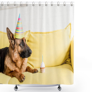 Personality  Cute German Shepherd In Party Cap Lying On Bright Yellow Couch With Birthday Cupcake In Apartment Shower Curtains