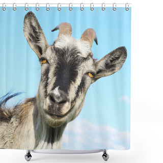 Personality  Goat Shower Curtains
