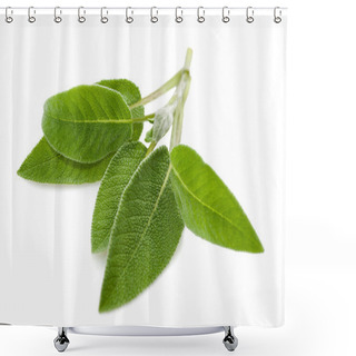 Personality  Sage Leaves Shower Curtains