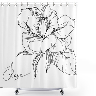 Personality  Beautiful Vector Rose Flower Isolated On White Background. Black And White Engraved Ink Art. Shower Curtains