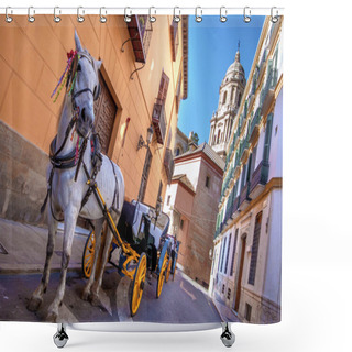 Personality  Horse And Carriage In The City Streets In Malaga, Spain  Shower Curtains