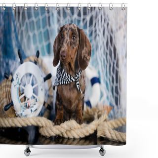 Personality  Dachshund Puppy Sailor And Sea Decorations Shower Curtains