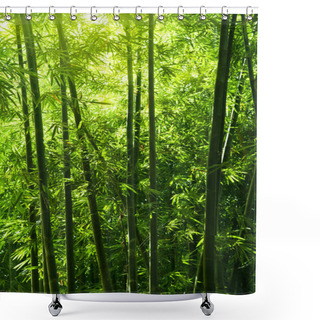 Personality  Bamboo Tree Forest Shower Curtains