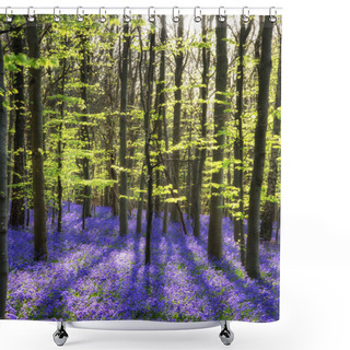 Personality  Stunning Bluebell Flowers In Spring Forest Landscape Shower Curtains