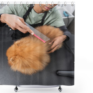 Personality  Cropped View Of African American Groomer Brushing Pomeranian Spitz With Comb Shower Curtains