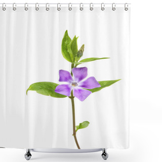 Personality  Vinca Flower Shower Curtains