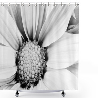 Personality  Monochrome Daisy Flower White Carpels Close Up Shower Curtains