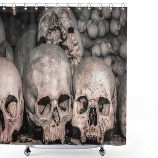 Personality  Human Skulls And Bones  Shower Curtains