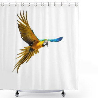 Personality  Colourful Flying Parrot Isolated On White  Shower Curtains