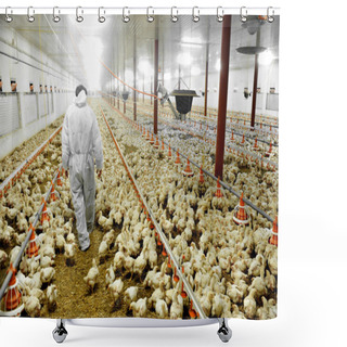 Personality  Poultry Farm And A Veterinary Shower Curtains