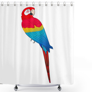 Personality  Beautiful Tropical Exotic Parrot Bird. Vector Illustration. Shower Curtains