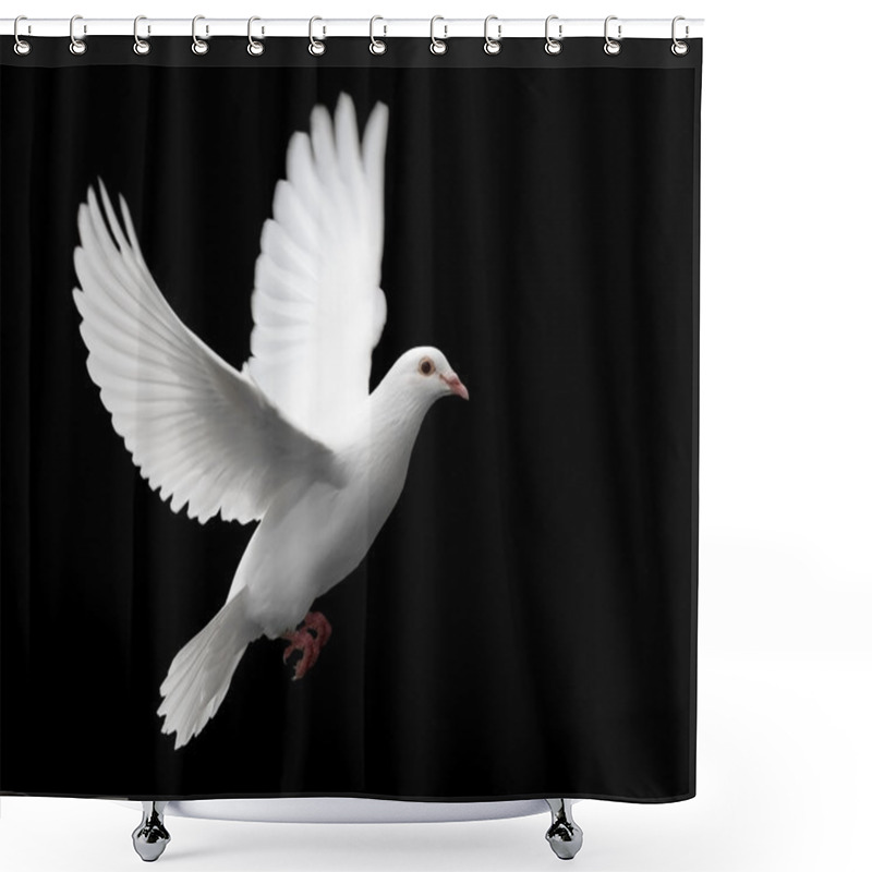 Personality  White Dove In Flight 1 Shower Curtains