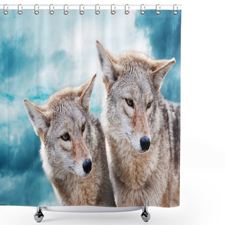 Personality  Coyote Pair Shower Curtains