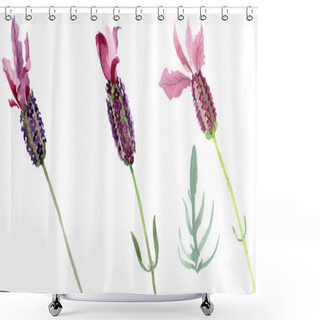 Personality  Purple Lavender Floral Botanical Flowers. Watercolor Background Set. Isolated Lavender Illustration Element. Shower Curtains