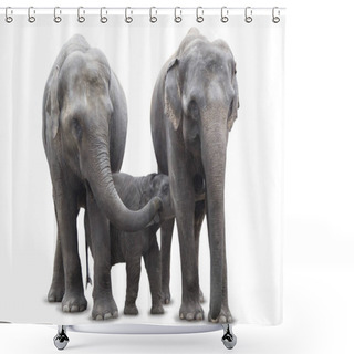 Personality  Group Of African Elephants - Mum Mother Feeds Baby Elephant Calf, And Another Elephant From His Family Protects / Closes It, Isolated On White Background. Shower Curtains