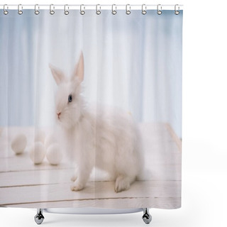 Personality  Easter Rabbit Shower Curtains