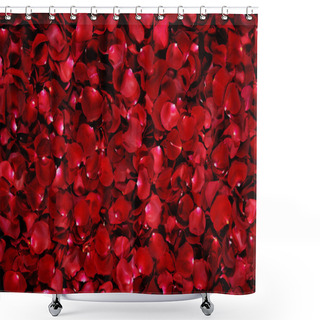 Personality  Background Of Red Rose Petals Shower Curtains