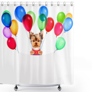 Personality  Funny Dogs Holding White Banner And Balloons Shower Curtains