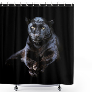 Personality  Black Leopard Shower Curtains