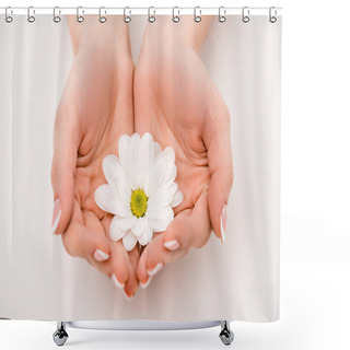 Personality  Cropped View Of Hands With White Daisy, Isolated On White Shower Curtains