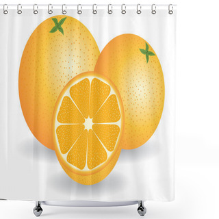 Personality  Orange Fruit Illustration Shower Curtains