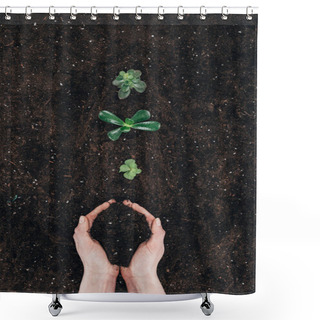 Personality  Cropped Shot Of Person Holding Soil And Beautiful Green Plants Growing In Ground Shower Curtains