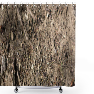 Personality  Top View Of Ground With Tree Roots, Panoramic Shot Shower Curtains